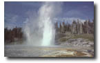 grand geyser