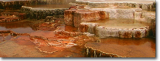 Upper Terraces -Yellowstone National Park